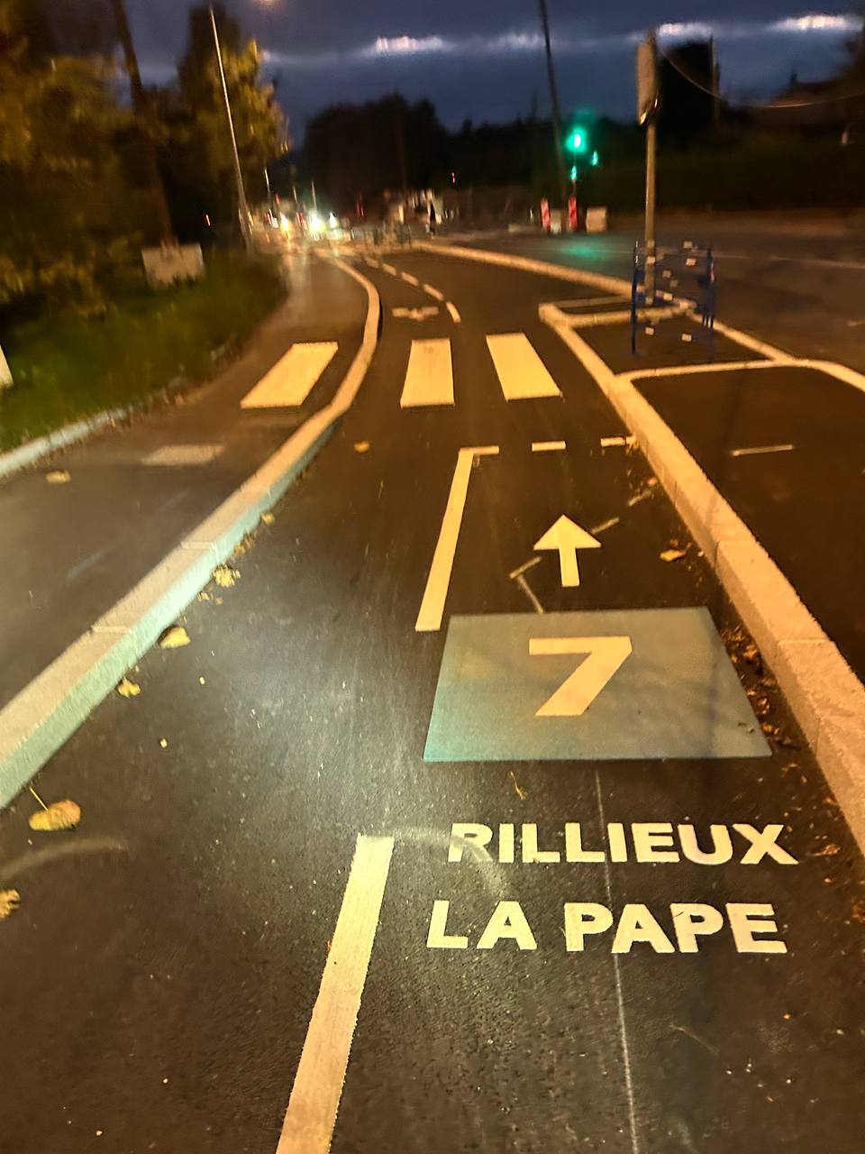 Voie Lyonnaise 7 faite par la métropole (Mas Rillier)